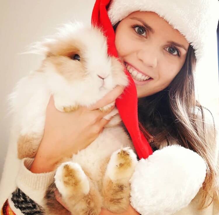 Bunny Rabbit beautiful photos. Everything you need to know about bunnies. Bunny kisses, bunny rabbit, bunny ears, bunny nose, bunny butt, bunny and people, bunny and kids, two bunnies, bunny love , cute bunnies, standing bunny, sleeping bunny, funny bunny photos, treat demanding bunnies, kroliczki, zajaczki, holland lops, bunny friends #snowbunny #winterbunny bunny in the snow