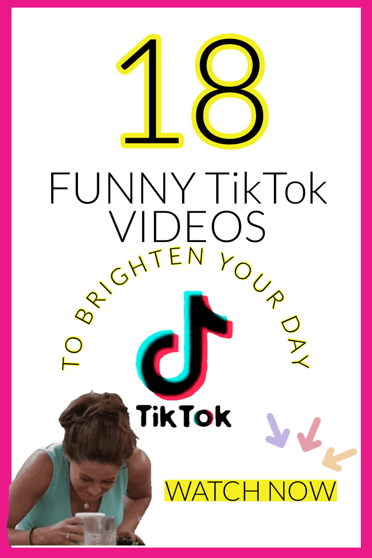 funny tik tok videos to brighten your day-2