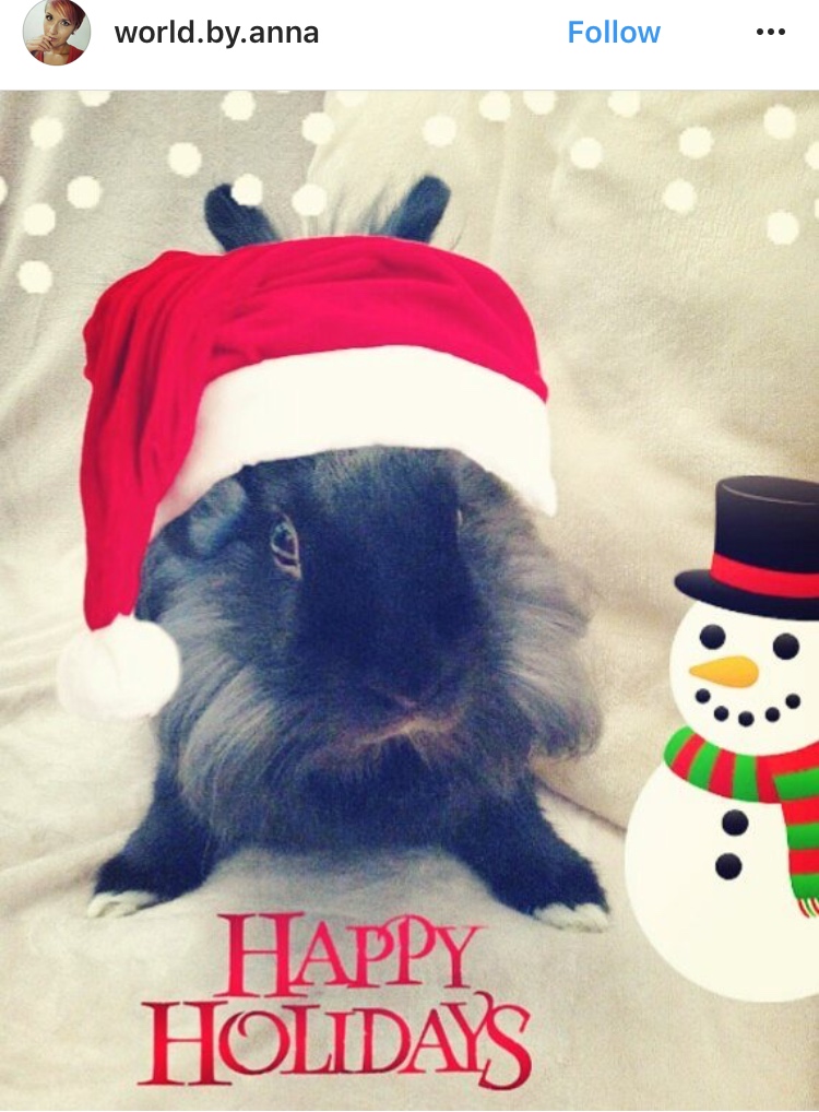 christmas_rabbit_santa_bunny