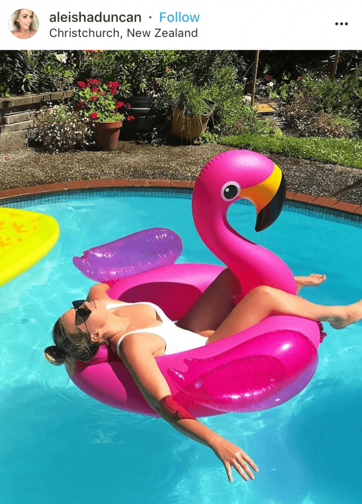 flamingo in the pool